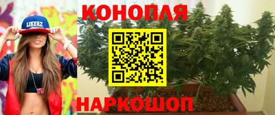 прущие крисы Партизанск