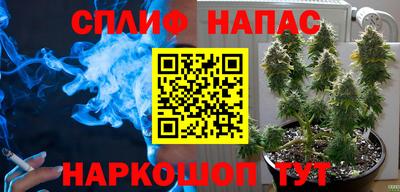 дживик Пенза