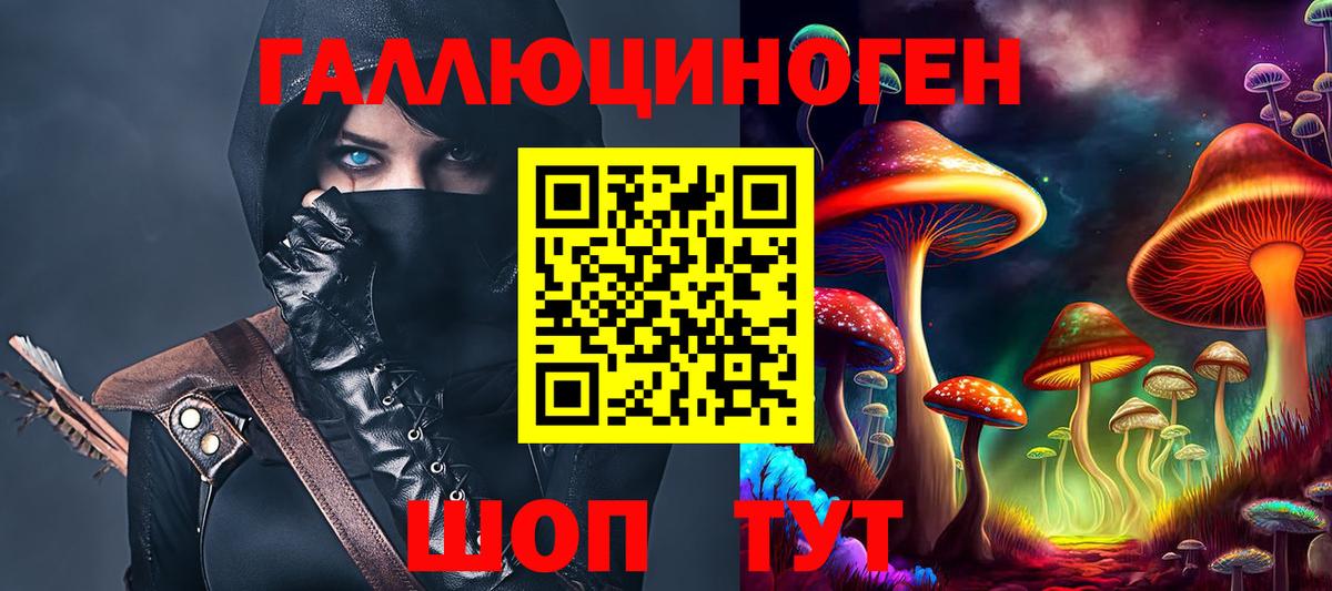 Печора  Галлюциногенные грибы Psilocybine cubensis  Вход с VPN 